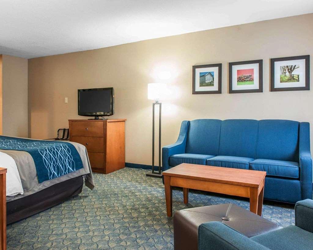 Comfort Inn & Suites Napoleon Rum bild